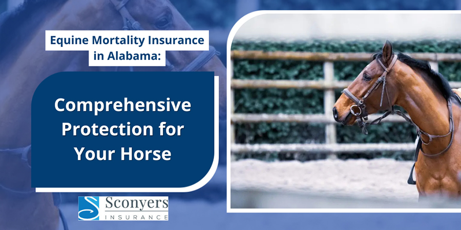 Equine Mortality Insurance in Alabama: Comprehensive Protection for Your Horse