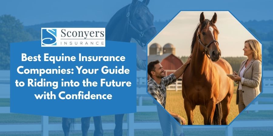Best Equine Insurance Companies: Your Guide to Riding into the Future with Confidence